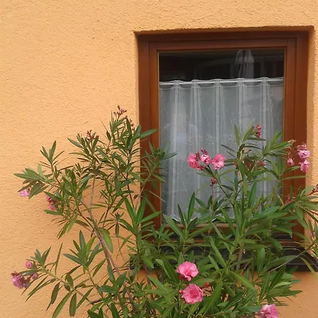 Apartment Klein Aber Fein - Apartment Fuer 2 Bis 4 Personen